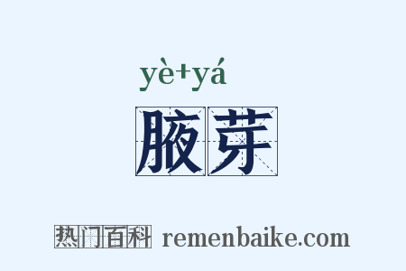 腋芽是什么意思的图片